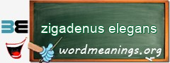 WordMeaning blackboard for zigadenus elegans